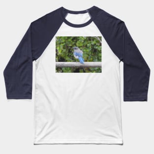 Western scrub-jay, birds, wildlife gifts Baseball T-Shirt